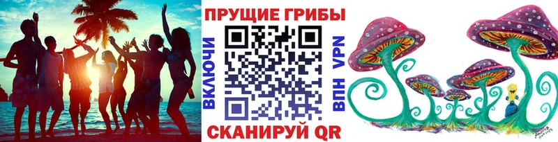 OMG маркетплейс  Дыгулыбгей  Псилоцибиновые грибы ЛСД  цена  